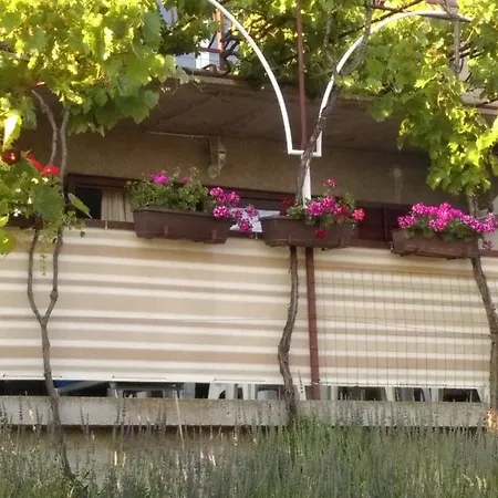 Apartment Kriskovic *